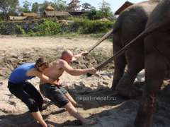 буксировка за слоном